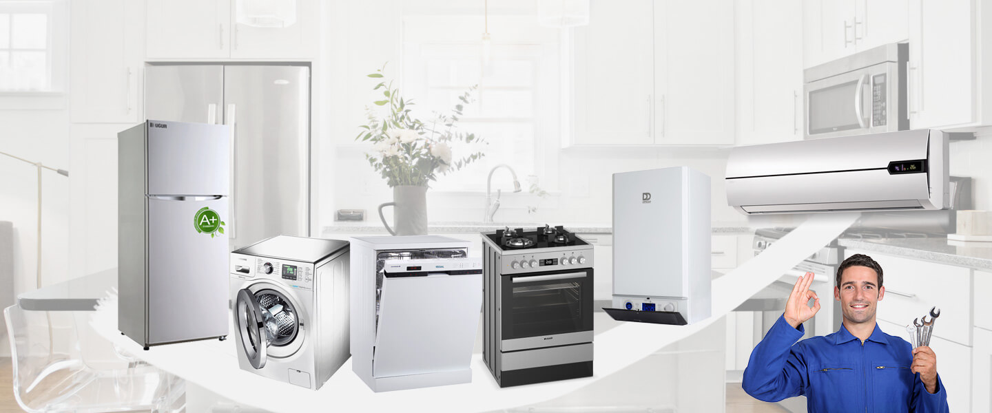 Doğançay Philips Servisi